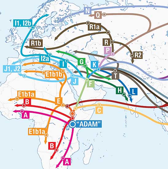 Migration map of the major haplogroups from 'Adam'