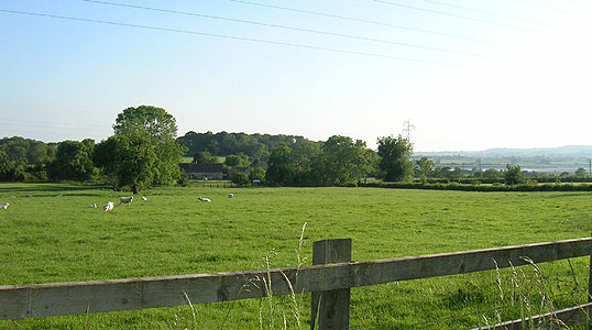 Image Daniel Pitcher and Mary Ann (nee Fryer) lived at Meadowland Farm in Overton, Arlingham.<br>The fields in the foreground were probably part of their land.